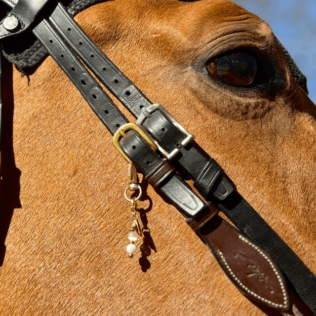 LUCKY CHARM SOUL MATE ( Âme Sœur )