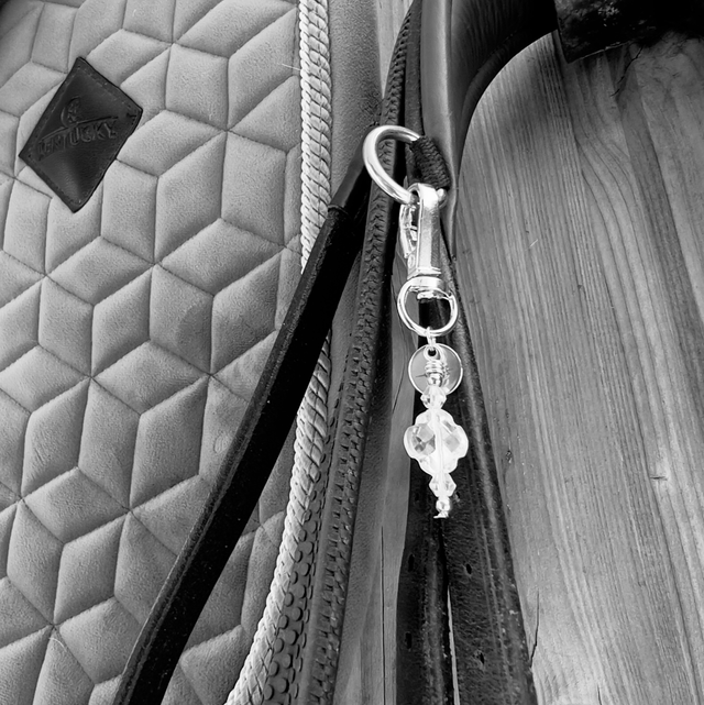 EQUI CHARM JOCO VICTOIRE et ses Charms au choix 
