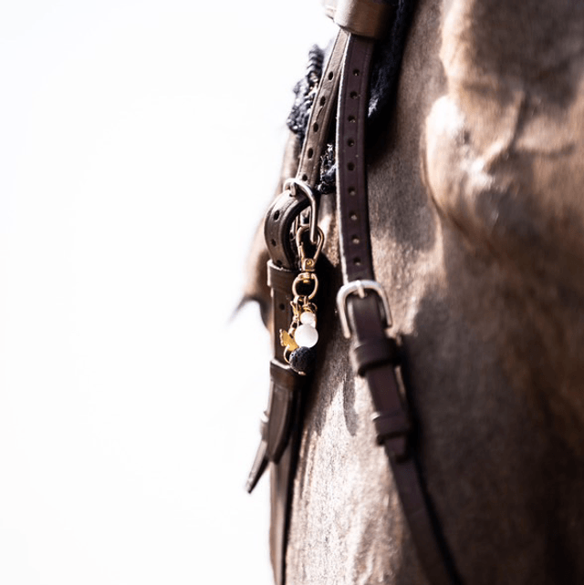 EQUI CHARM INTY