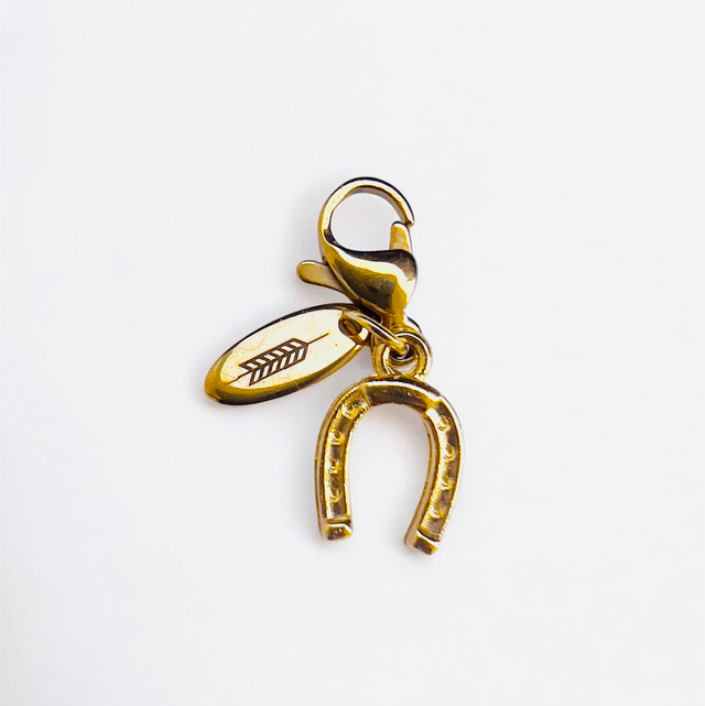 EQUI CHARM JOCO WISH ( 5 X Charms bonnet )