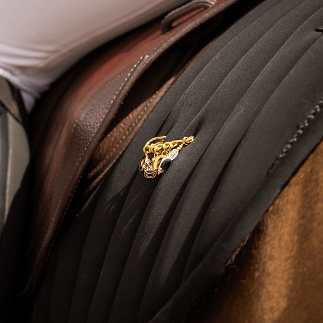 BROCHE SO CHIC Tapis de selle & Veste concours