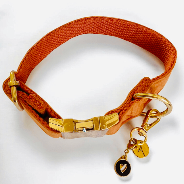DOG CHARM PIOU PIOU