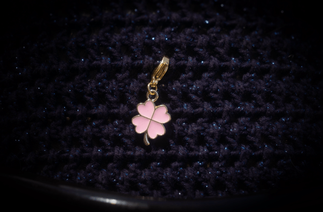 BROCHE tapis de selle dorée et ses 5 CHARMS bonnet 