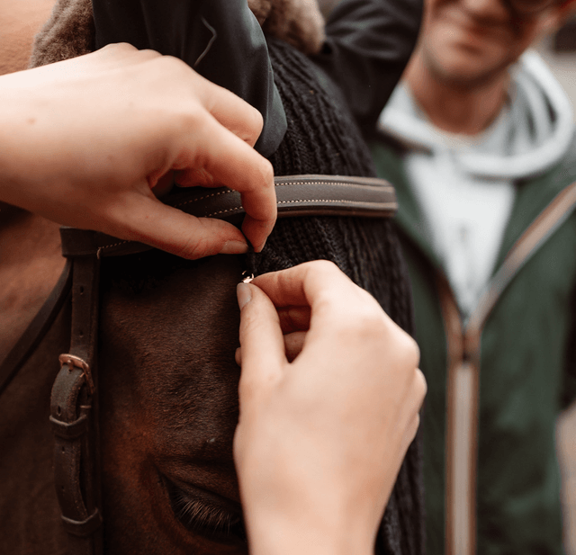 EQUI CHARM POMPOM