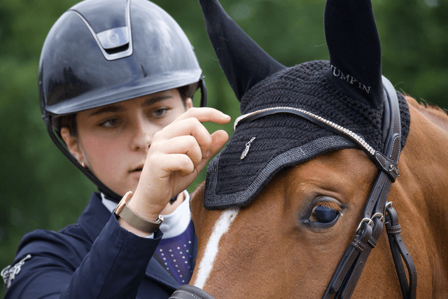 EQUI  CHARM JOCO SYLVER ( 8 x Charms bonnet ) argenté 