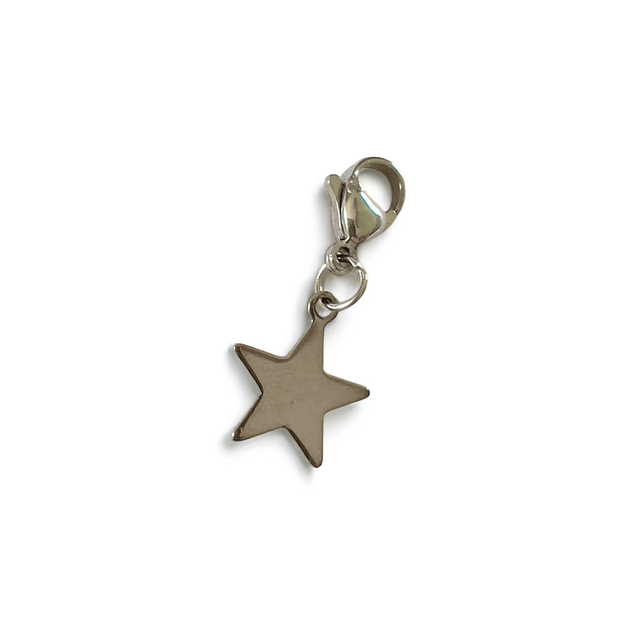 BROCHE tapis de selle argentée et ses 3 CHARMS bonnet 