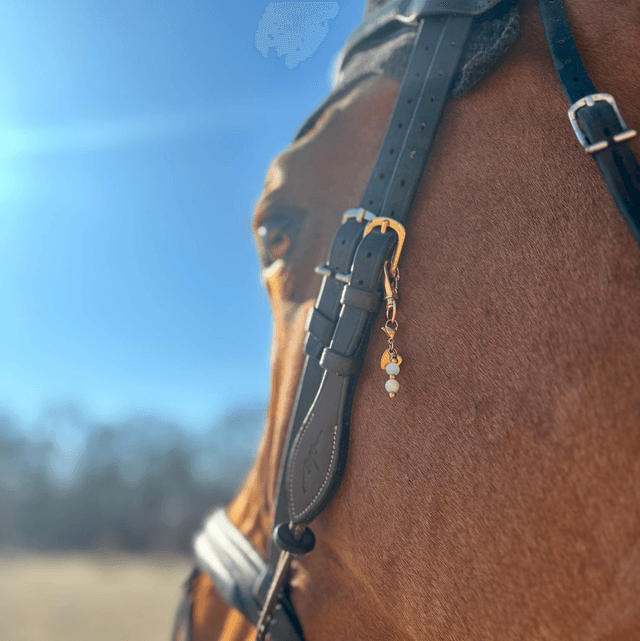 LUCKY CHARM SOUL MATE ( Âme Sœur )