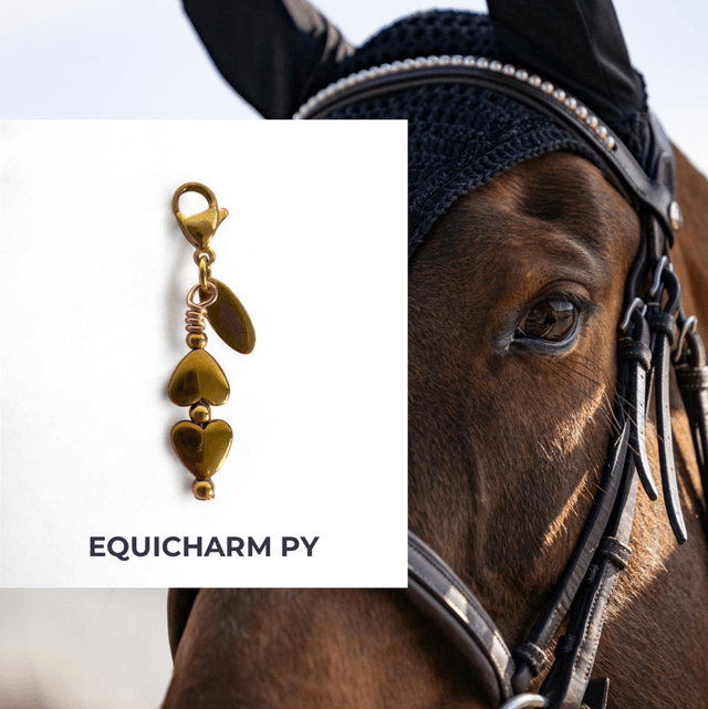 LUCKY CHARM PY