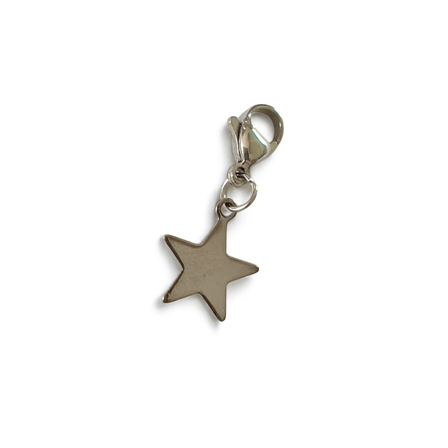 BROCHE tapis de selle argentée et ses 3 CHARMS bonnet 