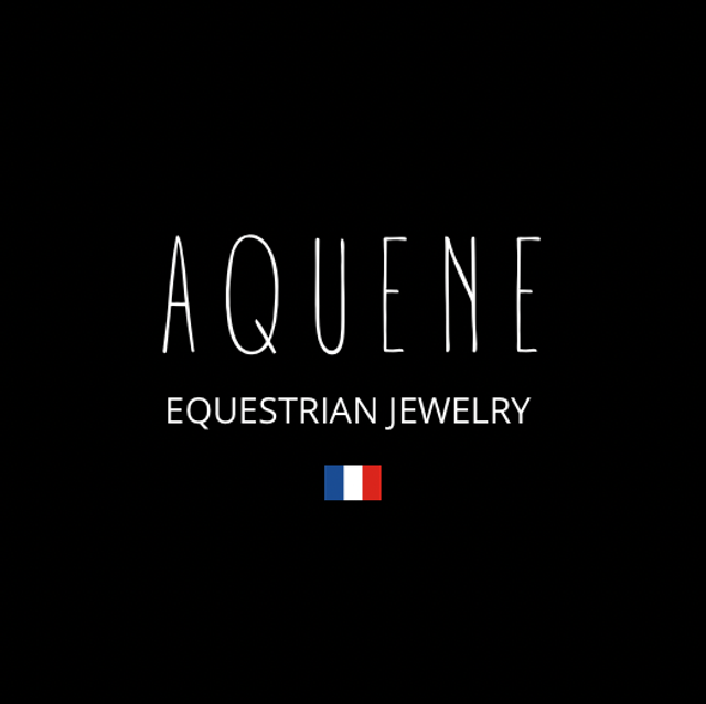 EQUI CHARM JOCO VOGUE et ses Charms au choix 