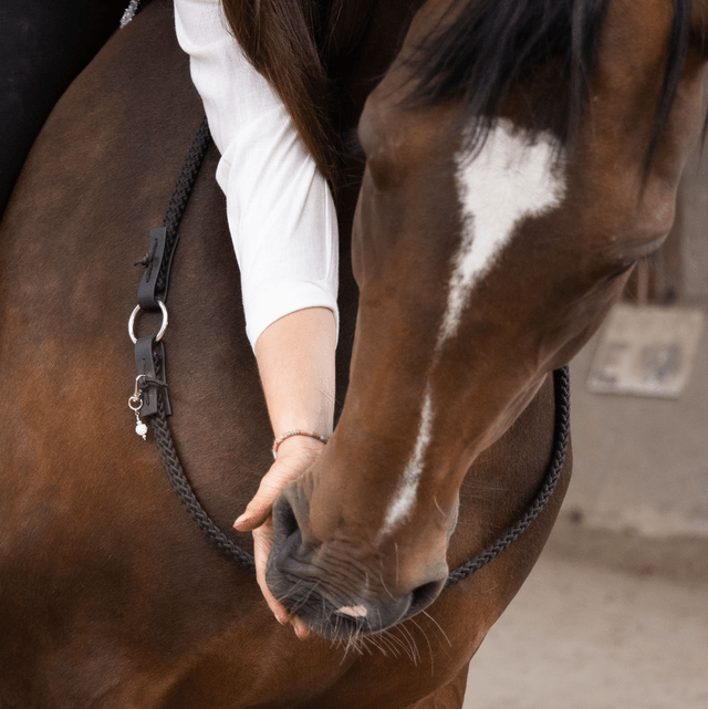 EQUI CHARM CORDELETTE 