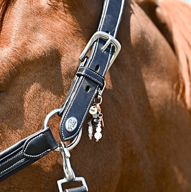 EQUI CHARM JOCO DARLING ( 4 x Charms bonnet )